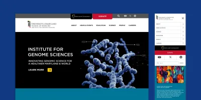 IGS Design Desktop and Mobile View